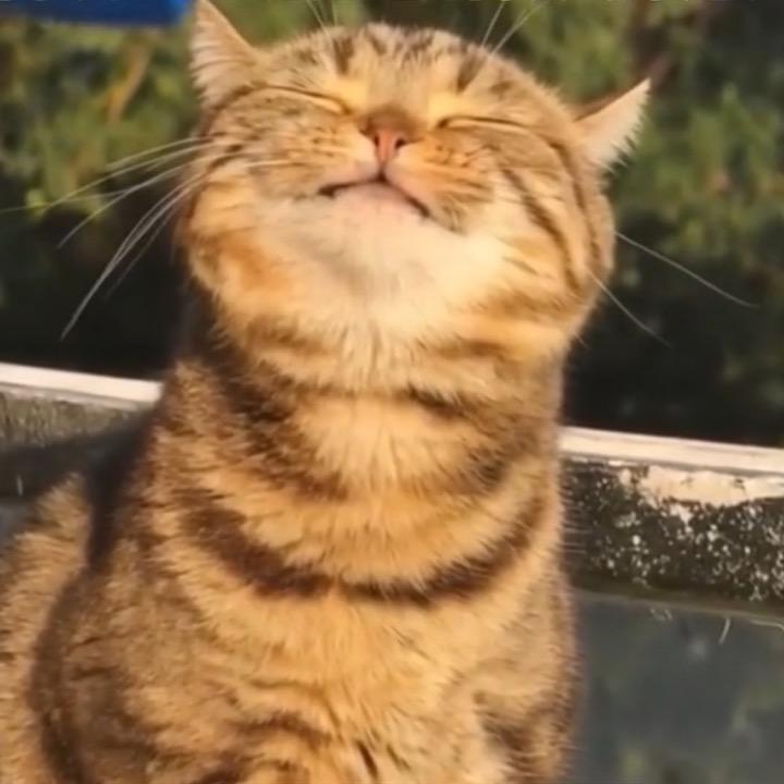 阿泽