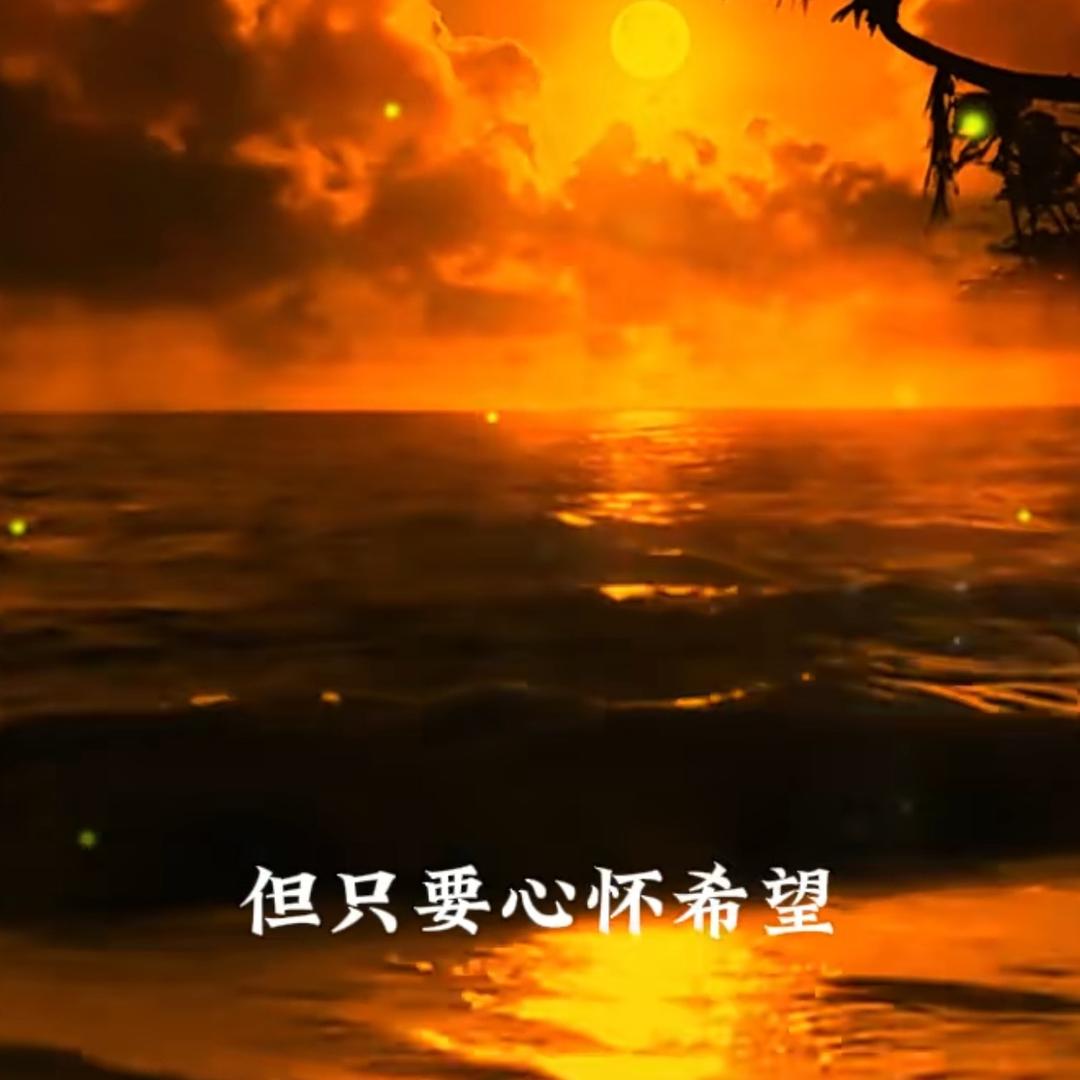 A权哥
