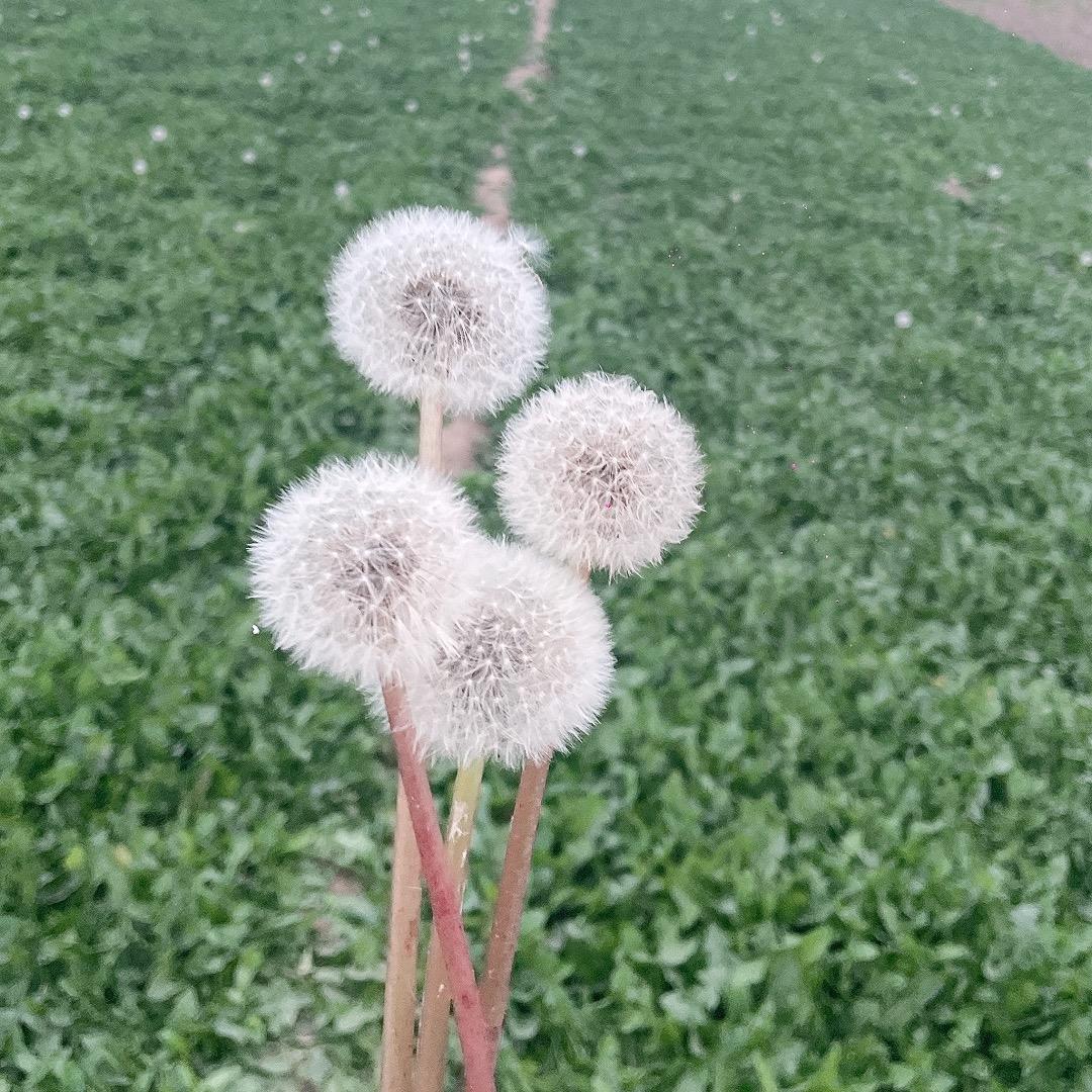 呈杰纸业批发