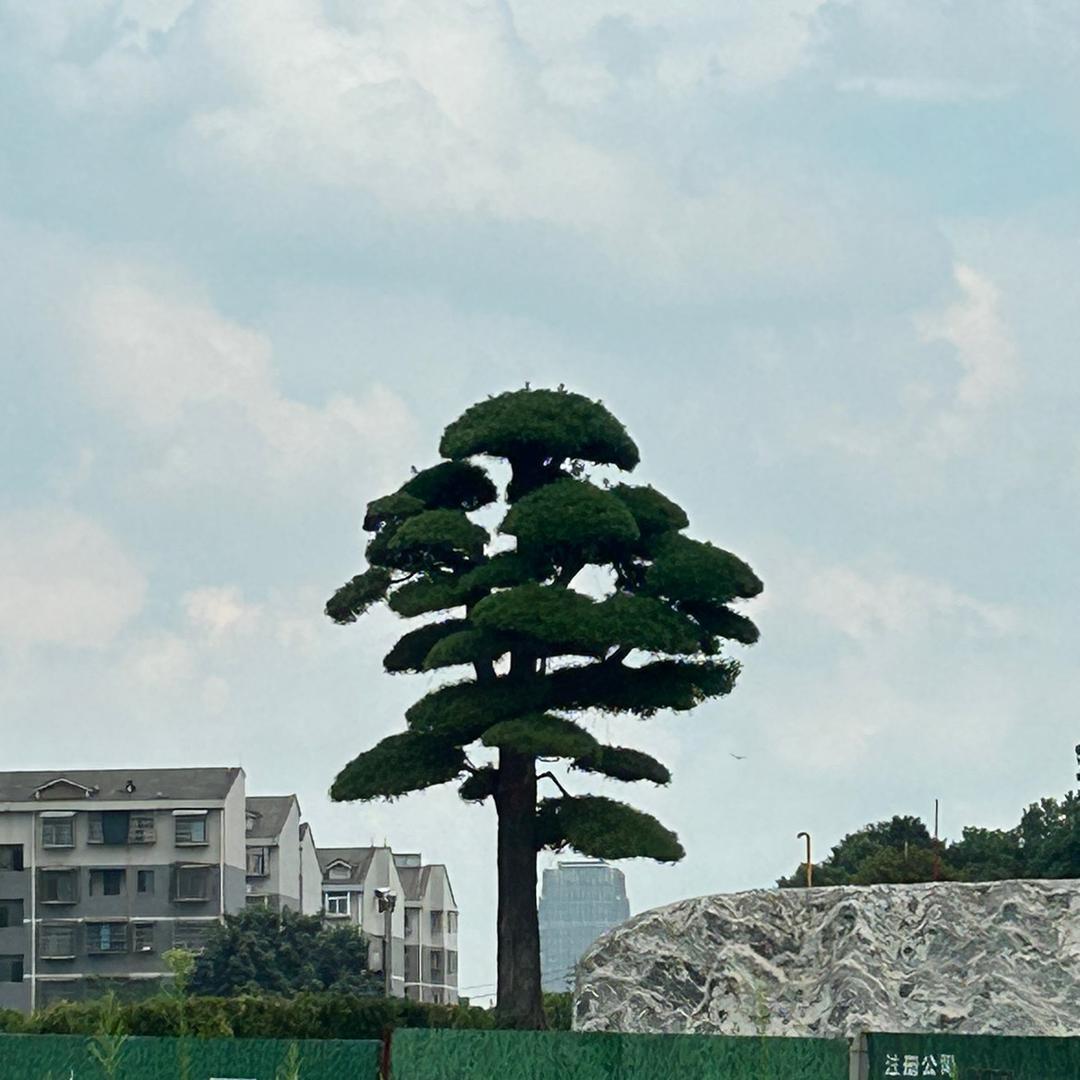 西了个瓜