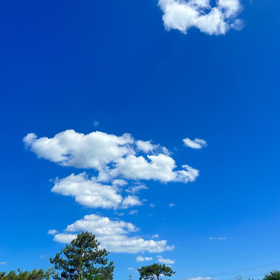 康𝓚𝒶𝓷𝓰 ᥫᩣ