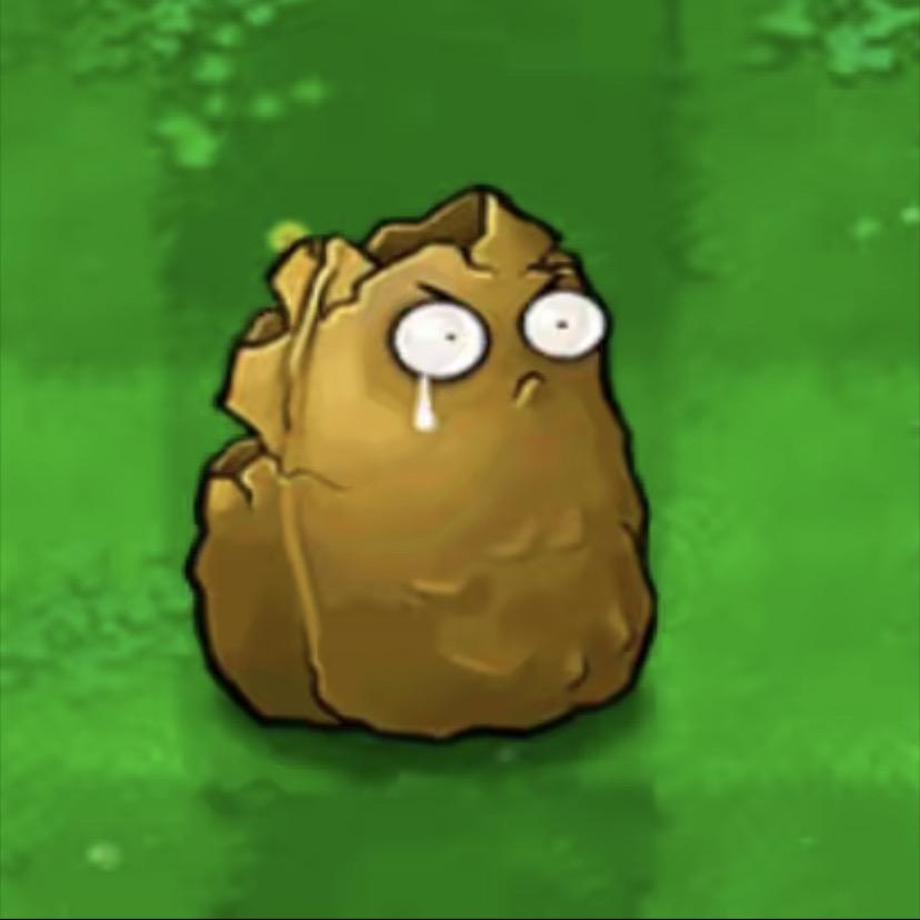 哈密瓜🍈　　　　　　　　　 　  🪳