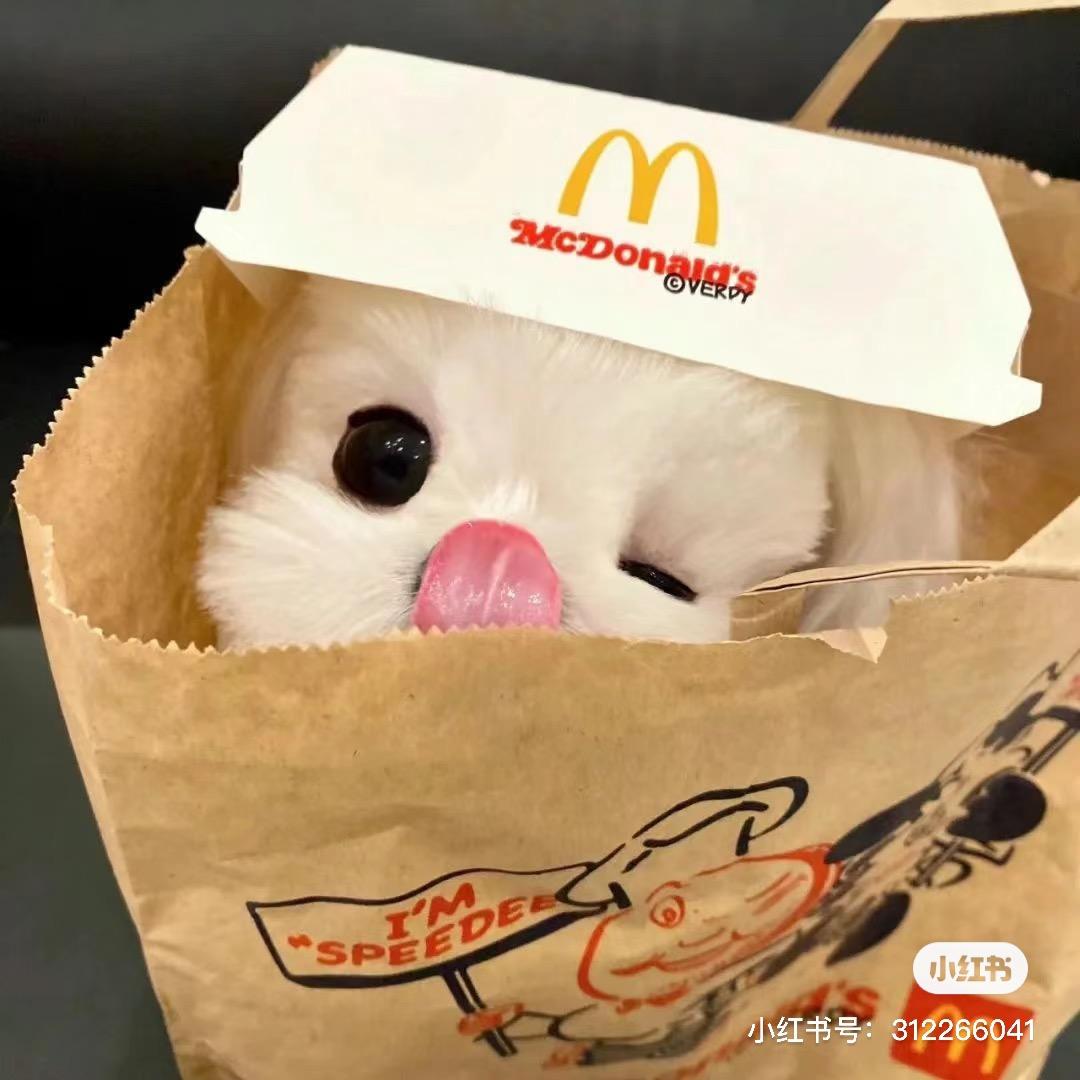 淡淡的小狗🐶年糕🥖