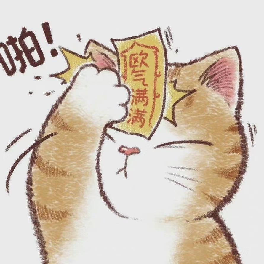 小彬家潮玩