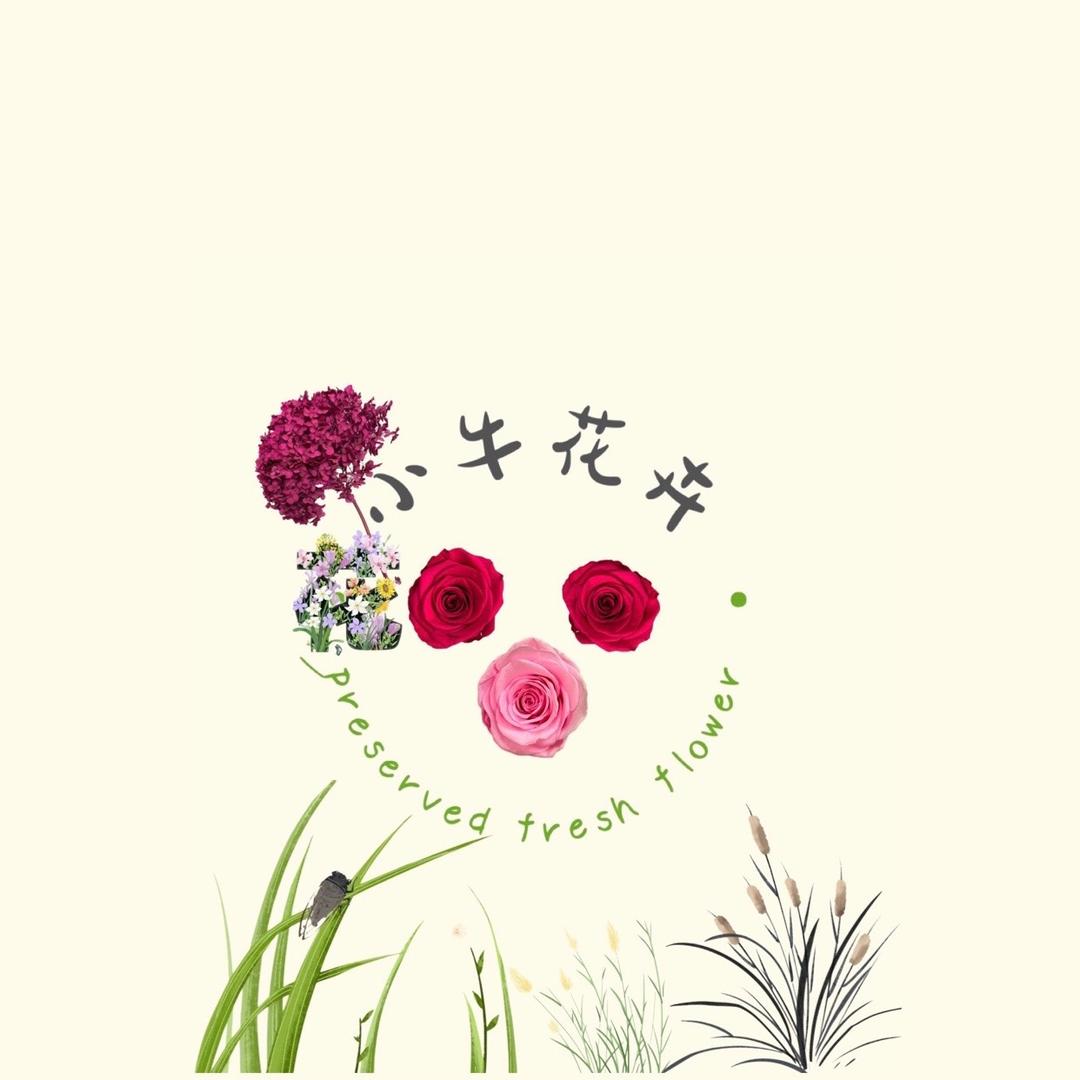 小牛花卉