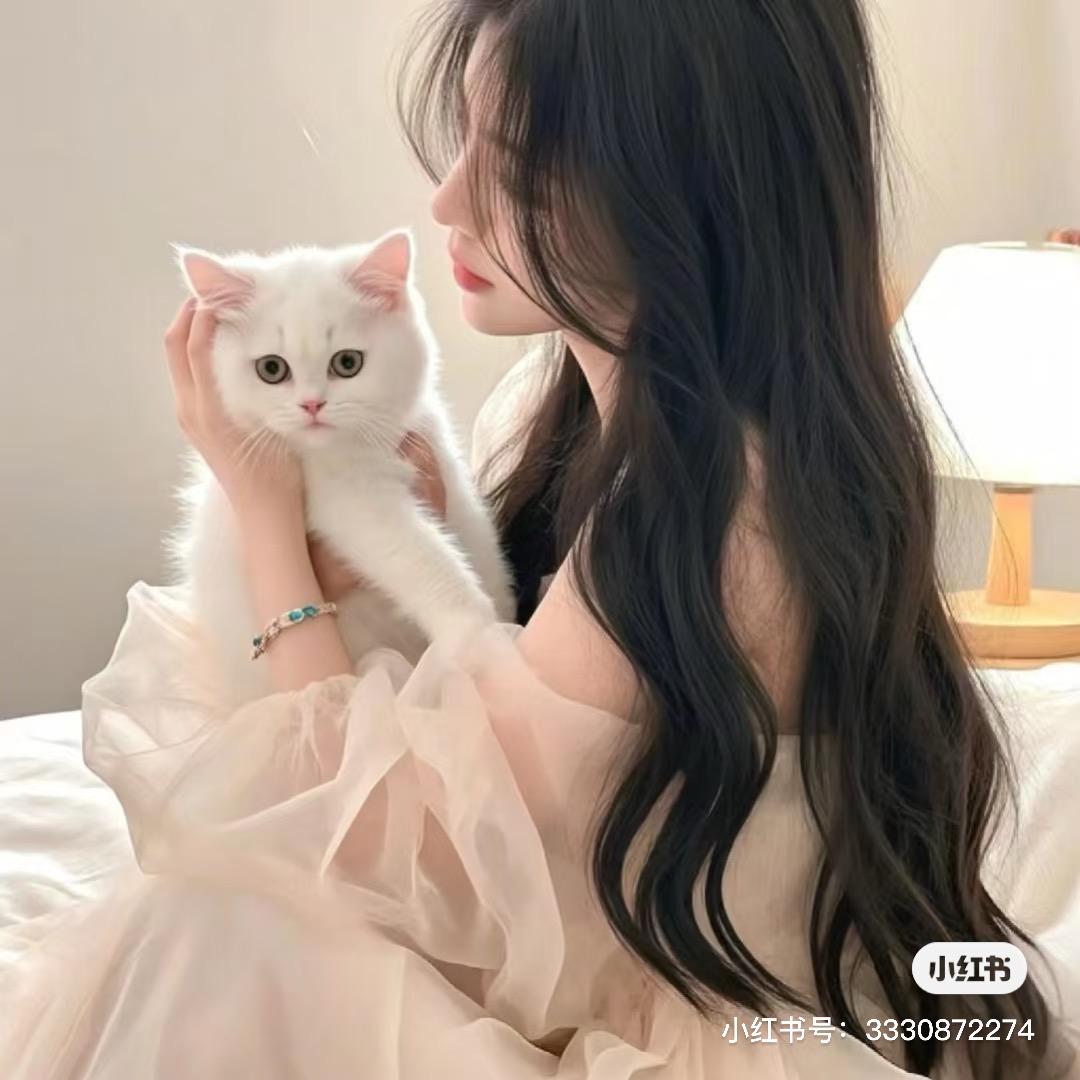 简爱