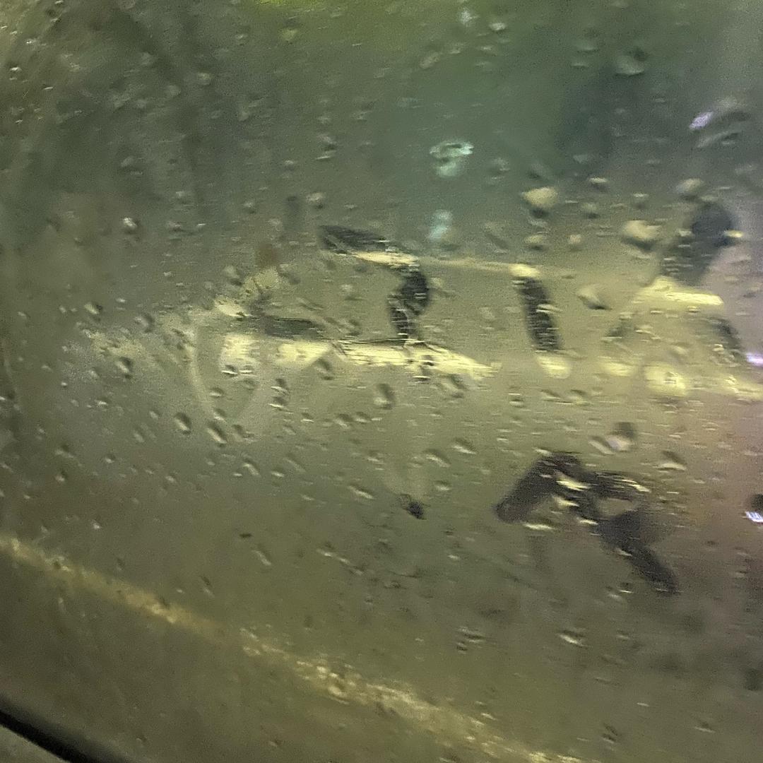 不吃葱姜蒜不吃菜（quik看主
