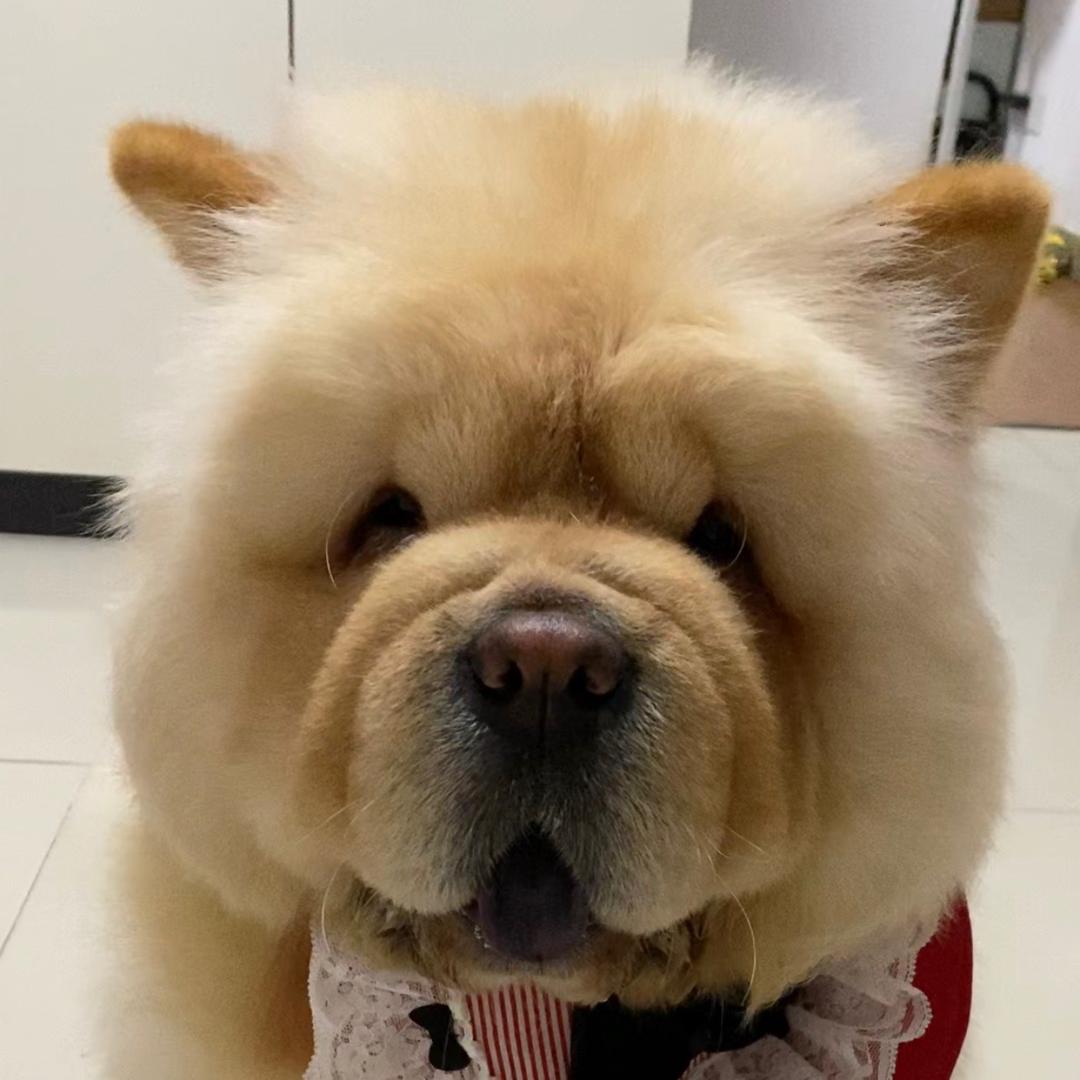 纳米肥