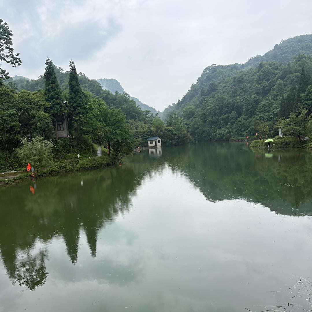 福泉市三条鱼文化传媒有限公司