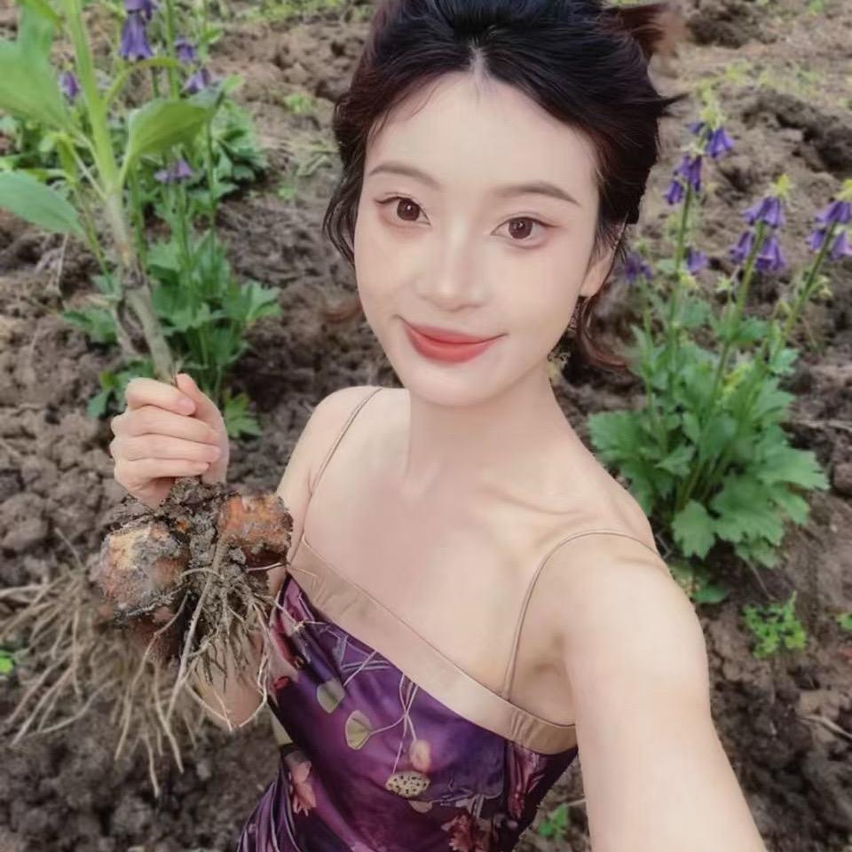 江油附子种植户