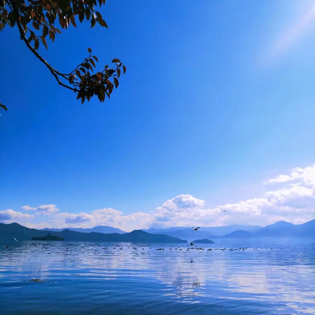 顾老板