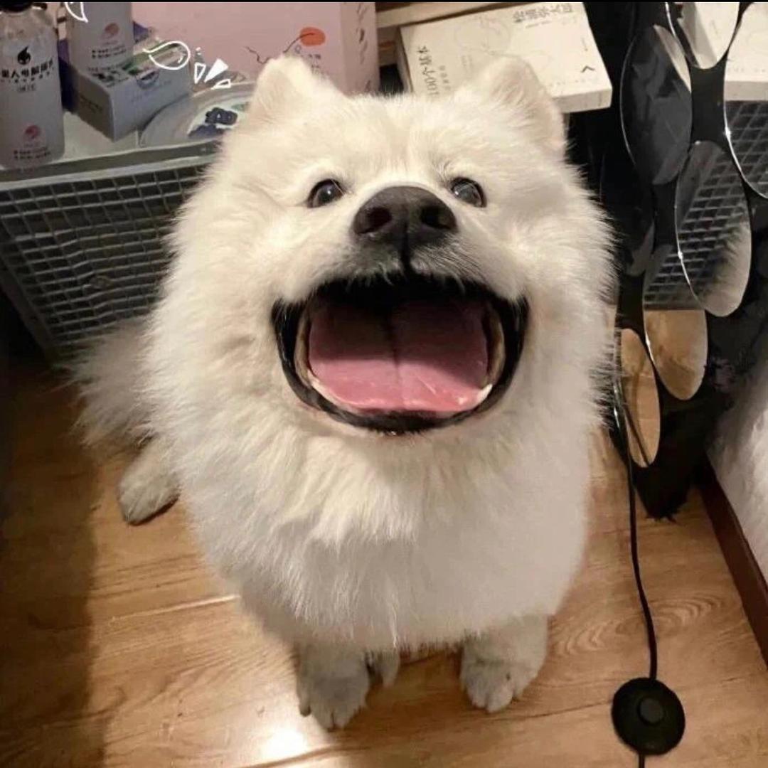 麦乐鸡大王