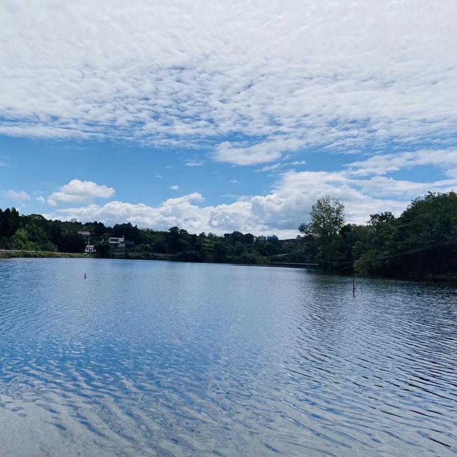 简阳梨园水库（大混养无限回锅）