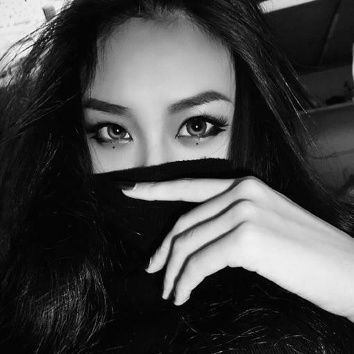 燕爷(橱窗有好物)