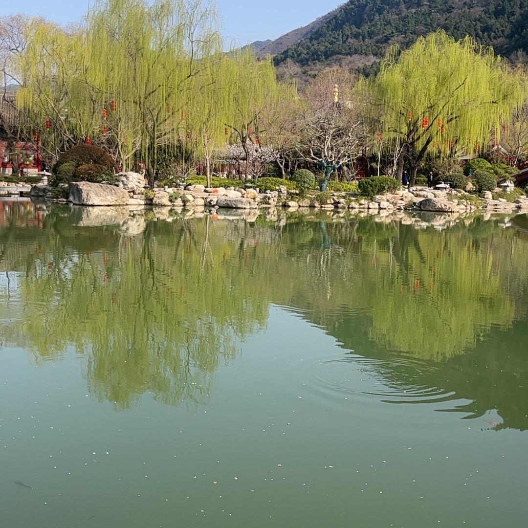 深沉的小师妹