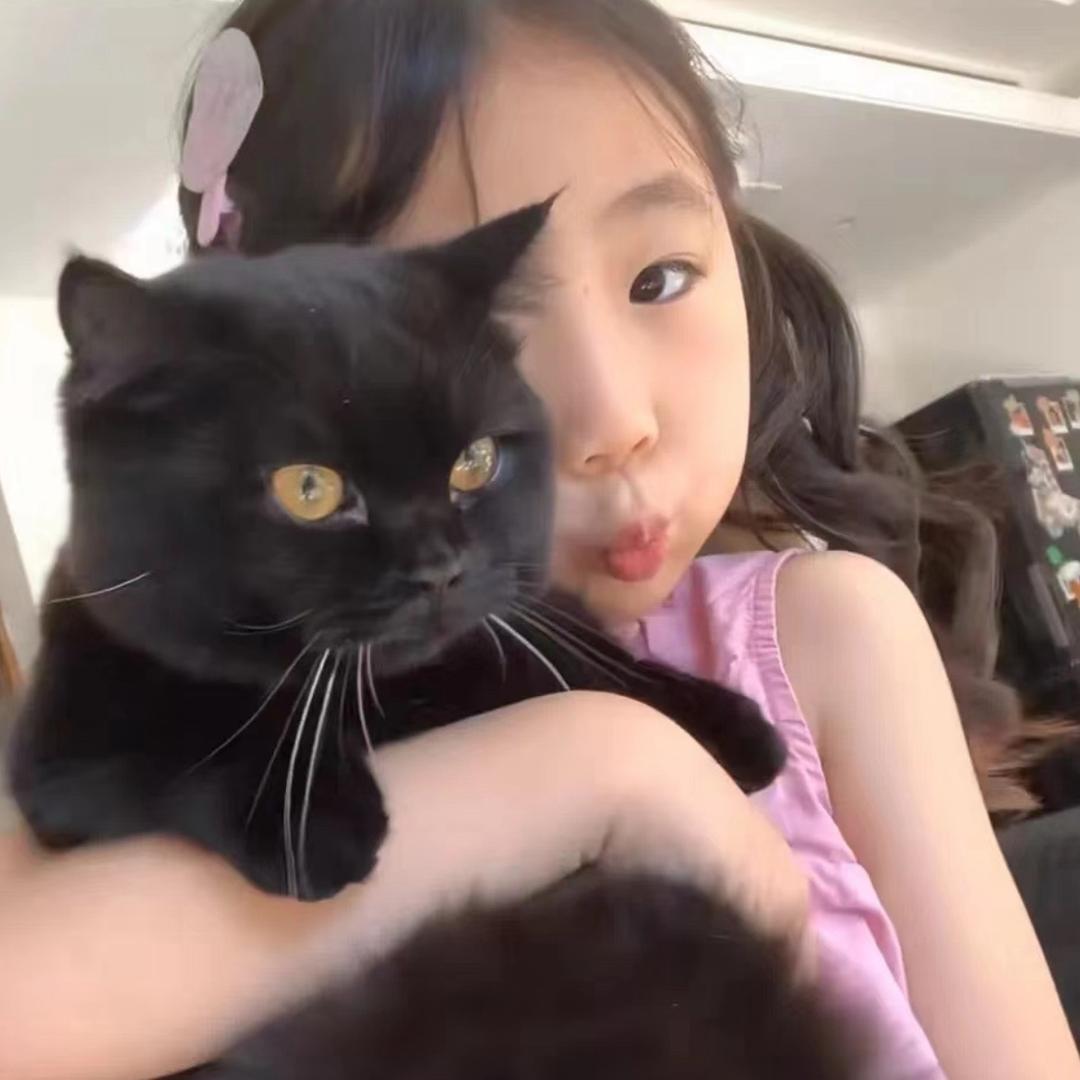 貌美如花