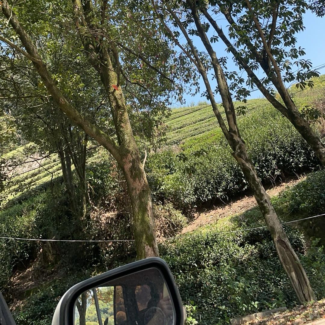 🚬 ⃟🗡|乘風破浪🦈