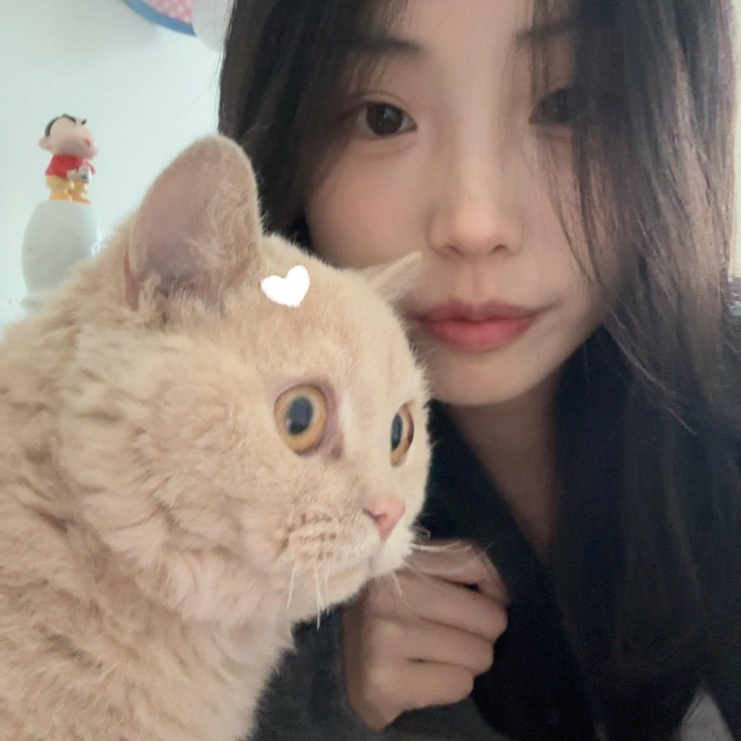 朴彩英哇