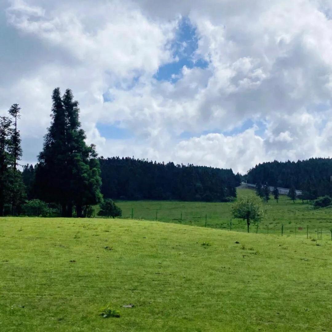 琳哥     首播  10点