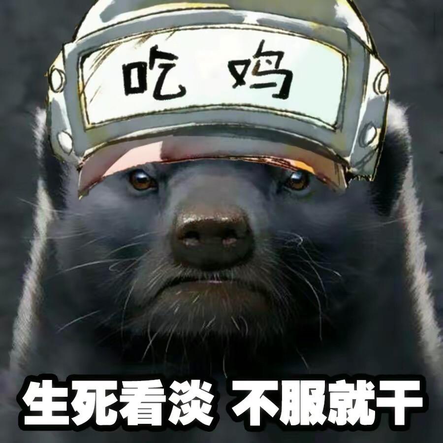 小可爱呀哈哈
