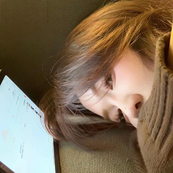 重生之我在拉萨卖猫