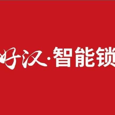 南京锁王-好汉智能门锁（南京店）