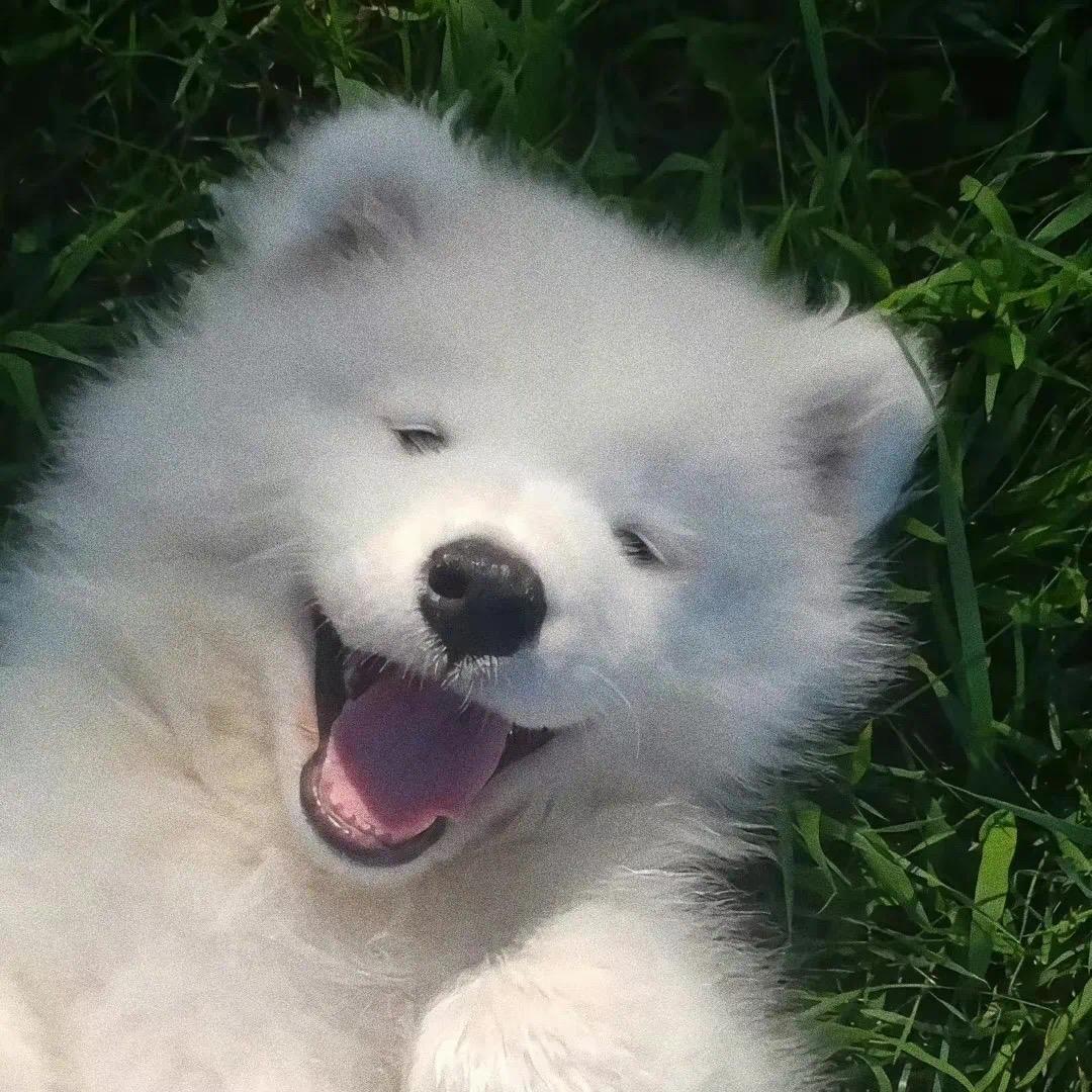 差一点就热嘻了