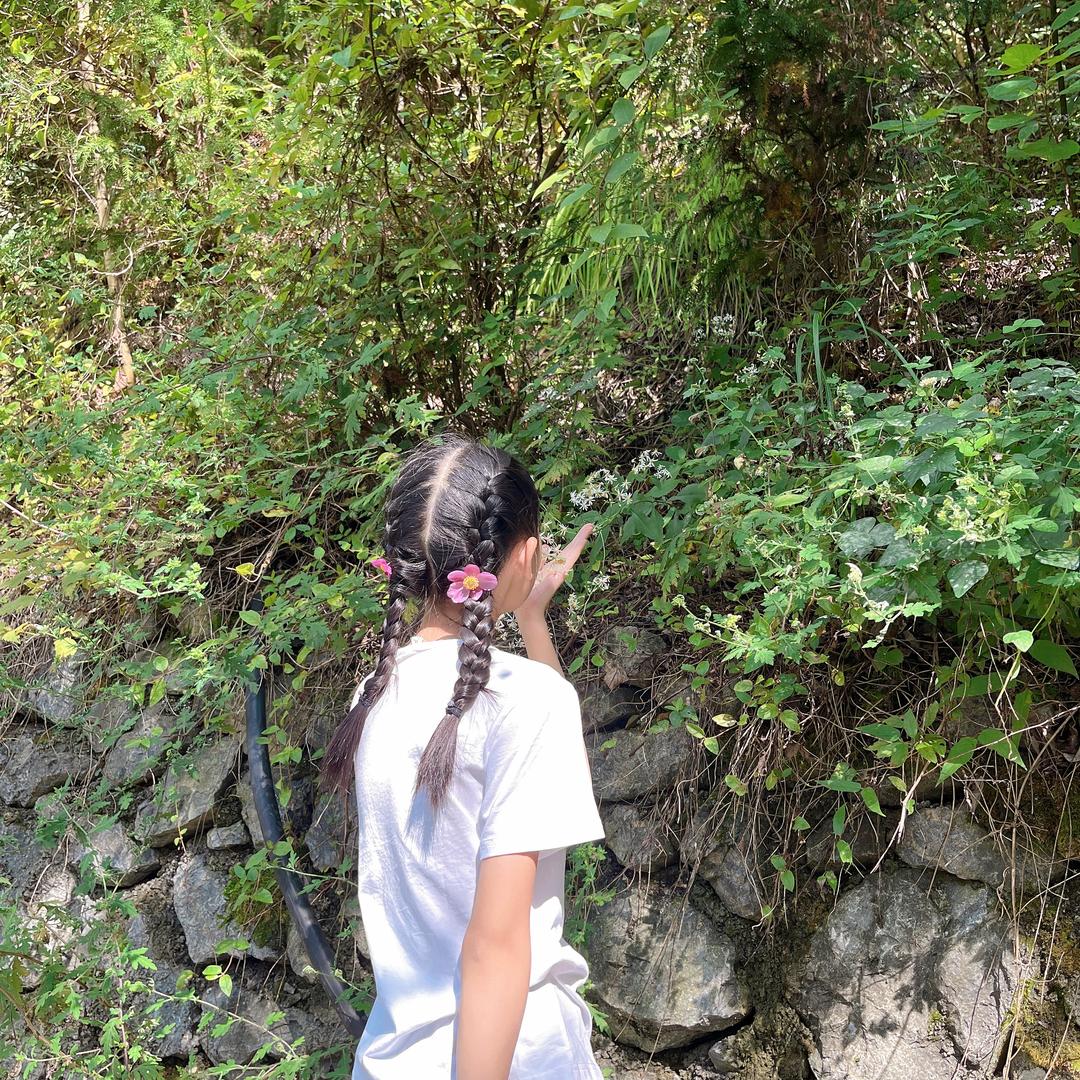 心❤️❤️菲阳