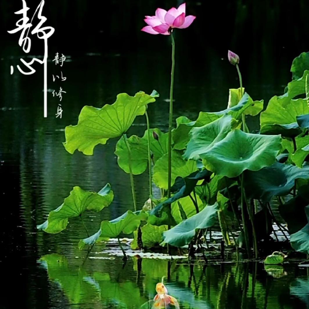 @一切随缘✨（拒绝私聊）