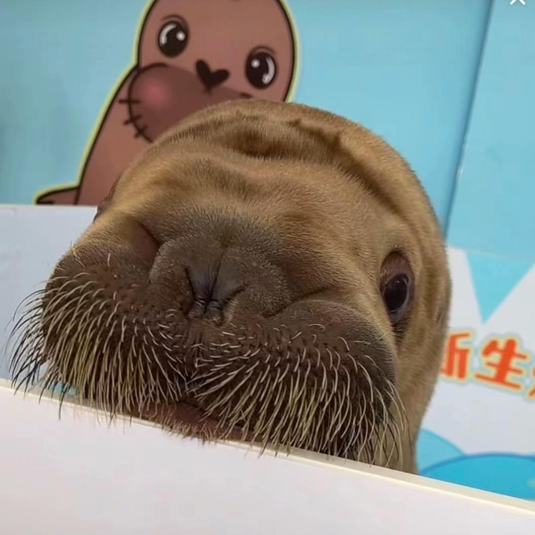 秋水