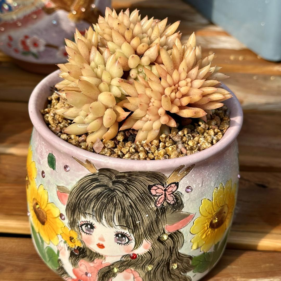 景德镇琪琪陶艺多肉花盆