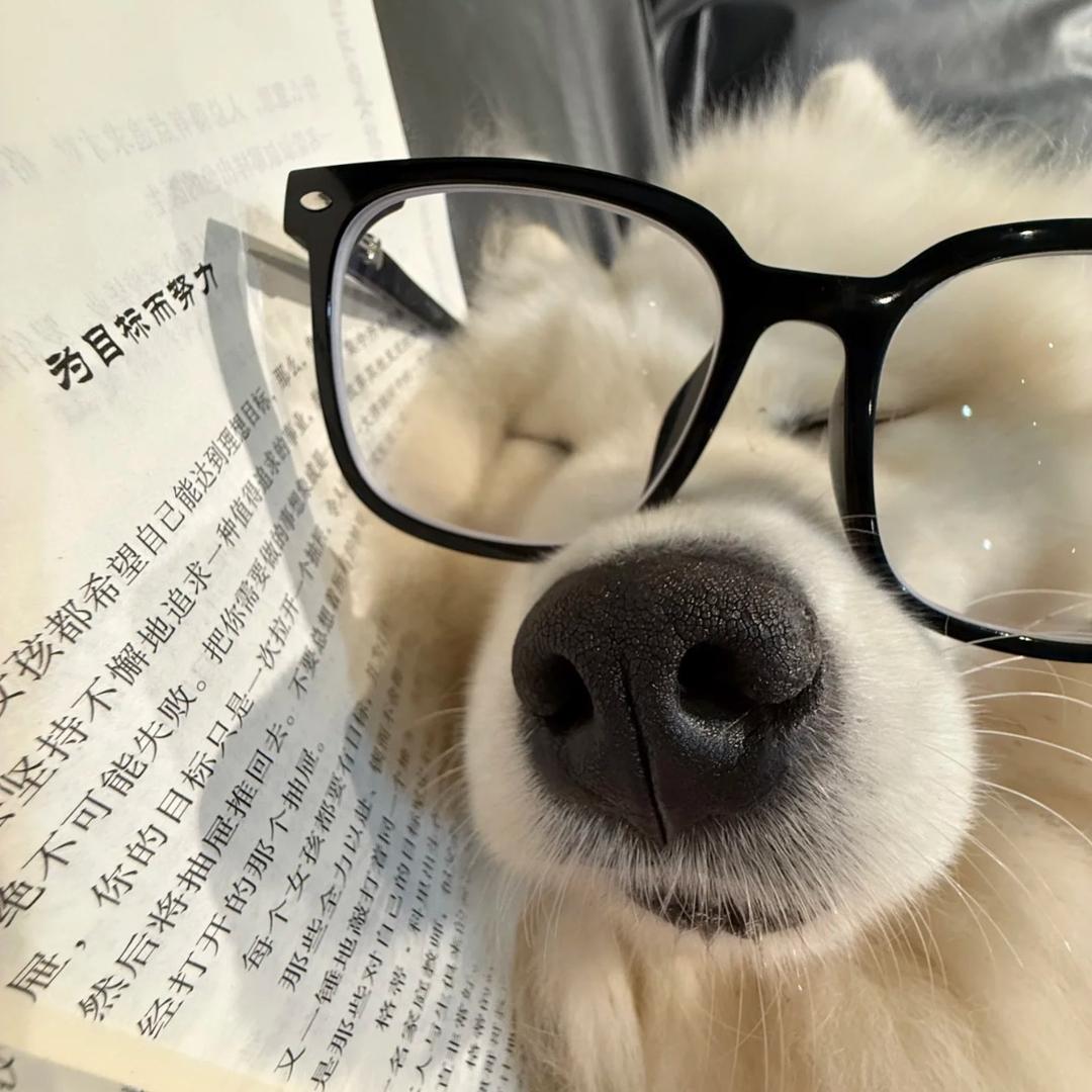 线条小窝