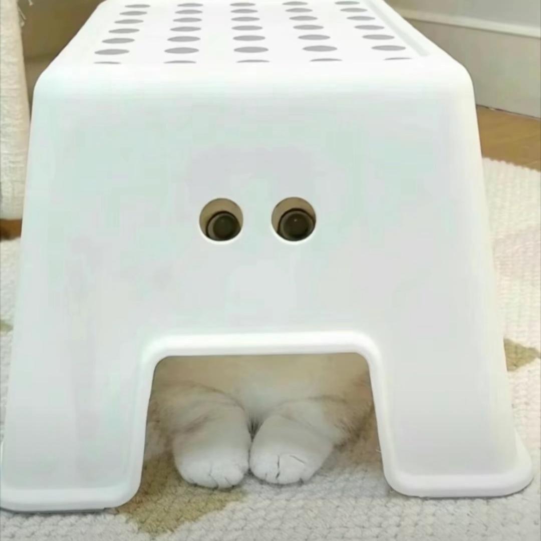 是旭啊