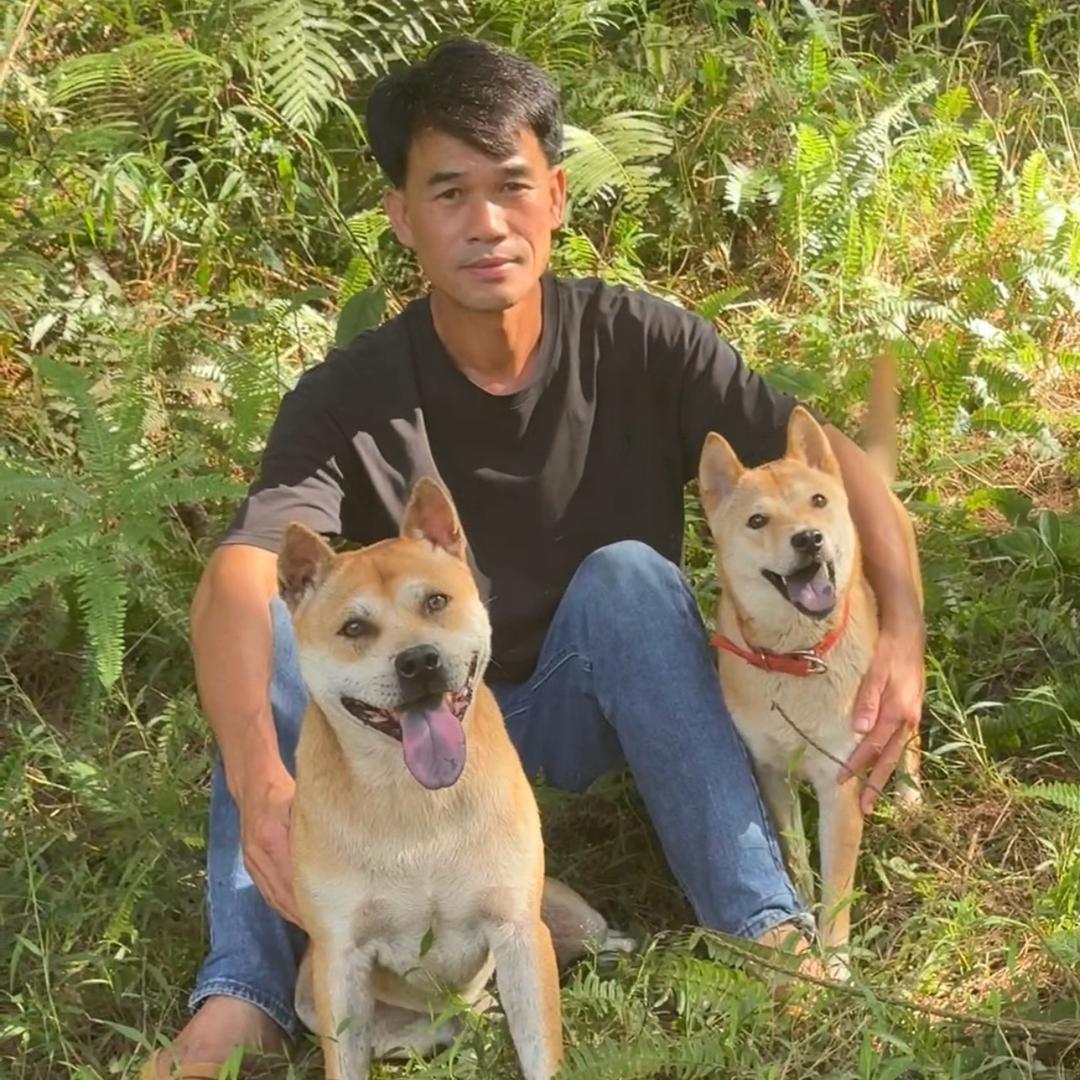 广西四表哥（土猎犬舍）