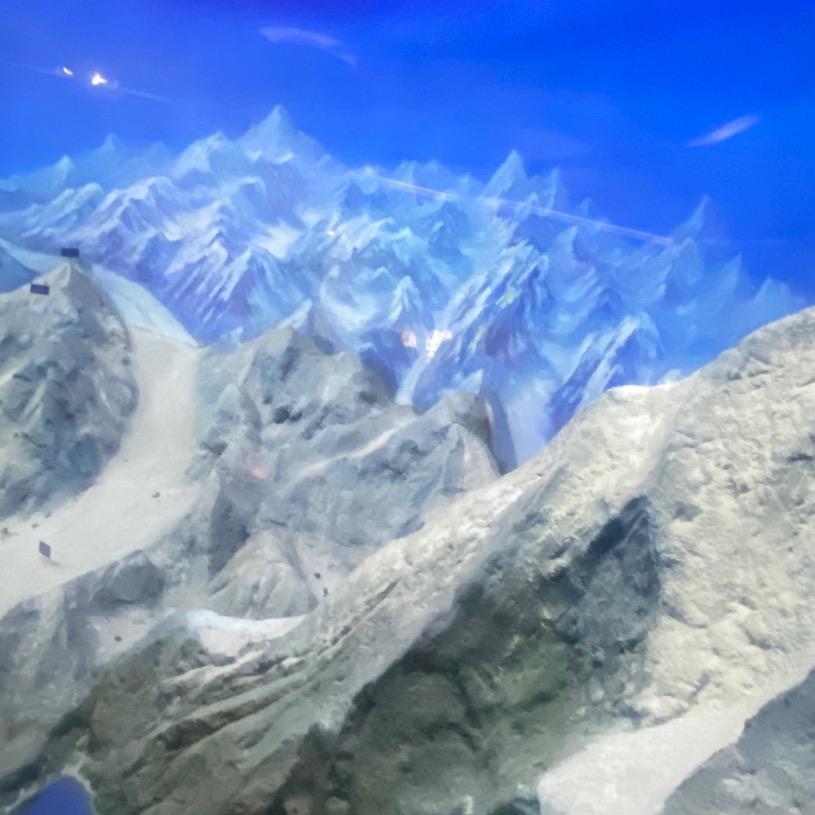 升学指导干货分享