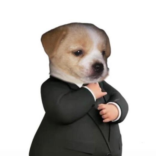 xyBAI
