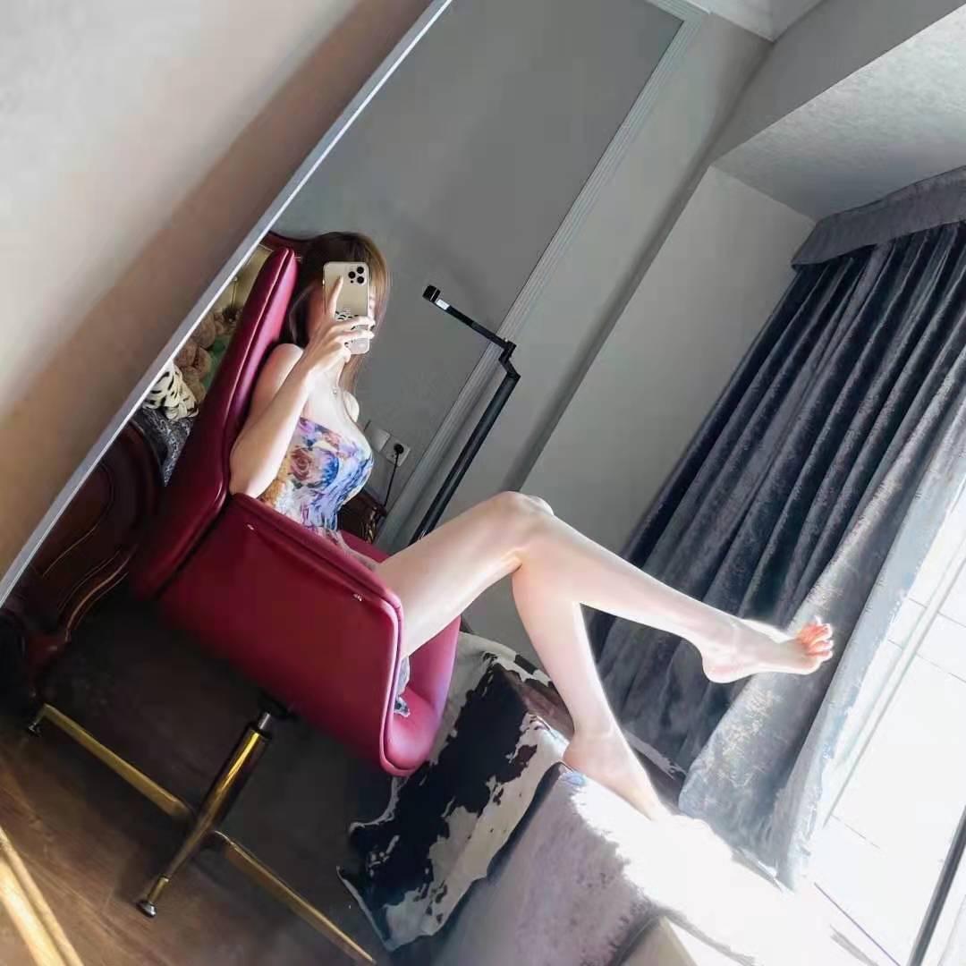 小鸽子