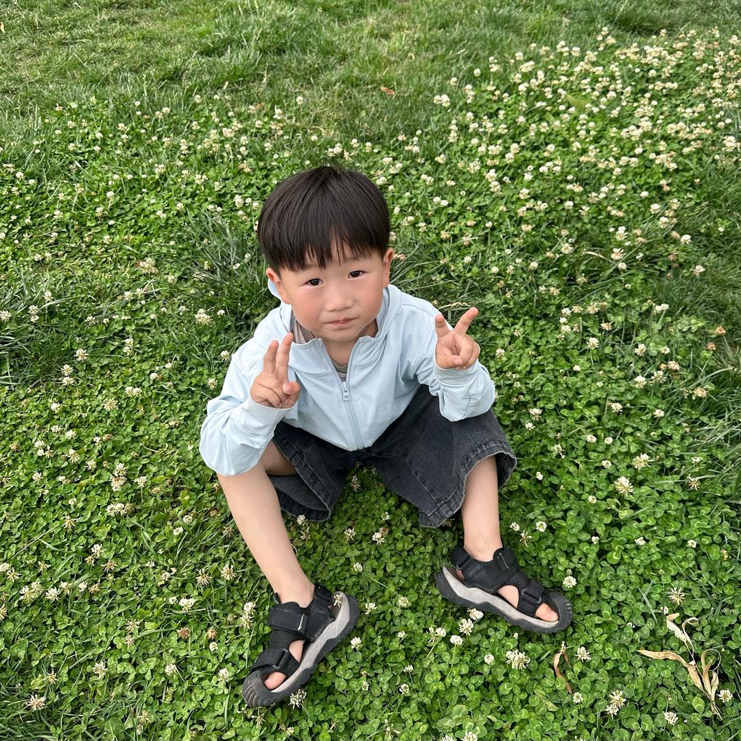 山里有个柿子树