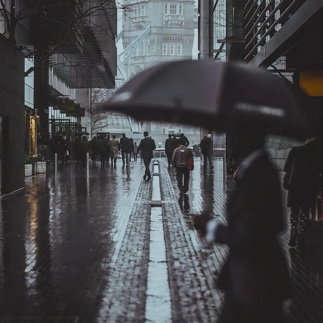 相识便是意难平