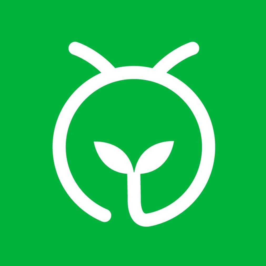 蚂蚁森林
