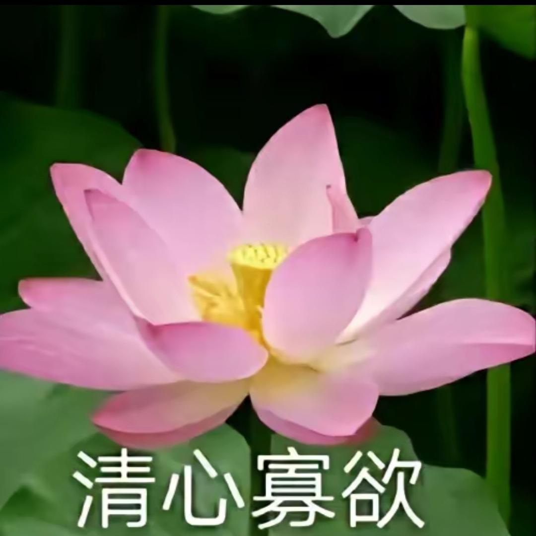 🌈🌈🌈AAAA.食材批发旺哥