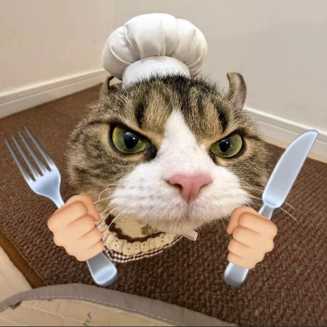 _一只小猫᳐ ੭