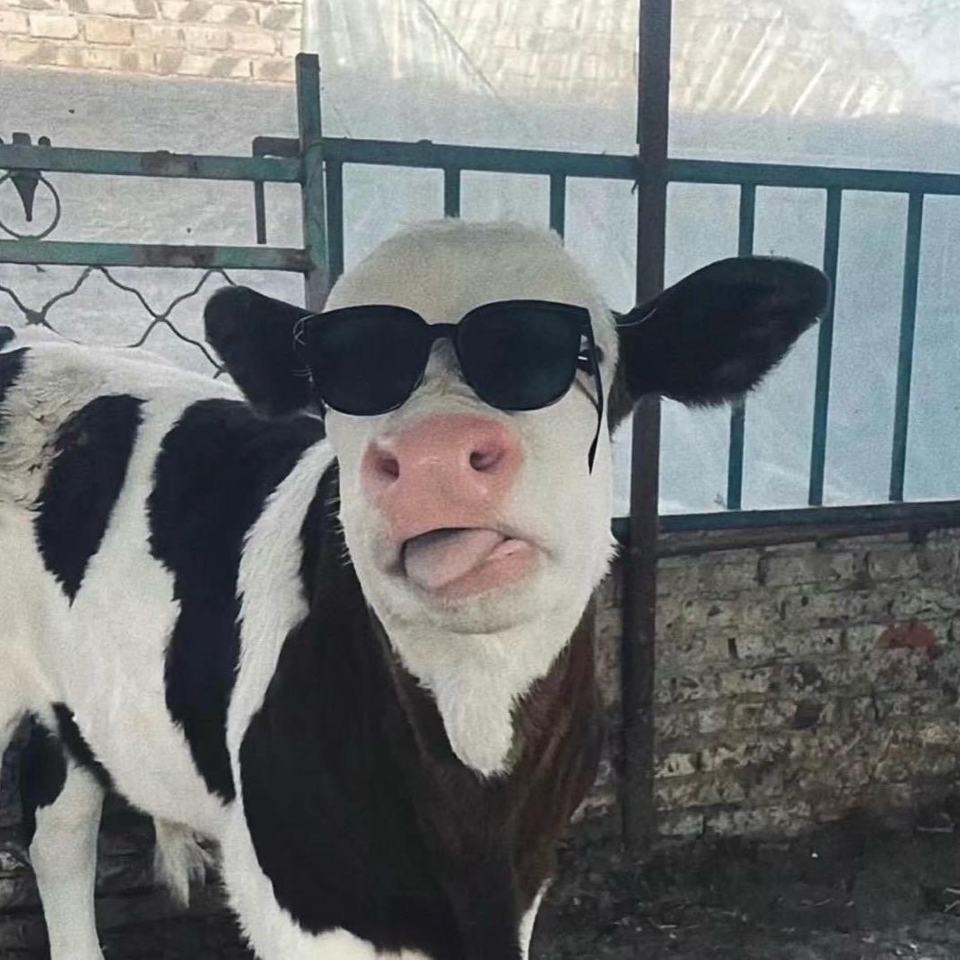 今天你开心吗