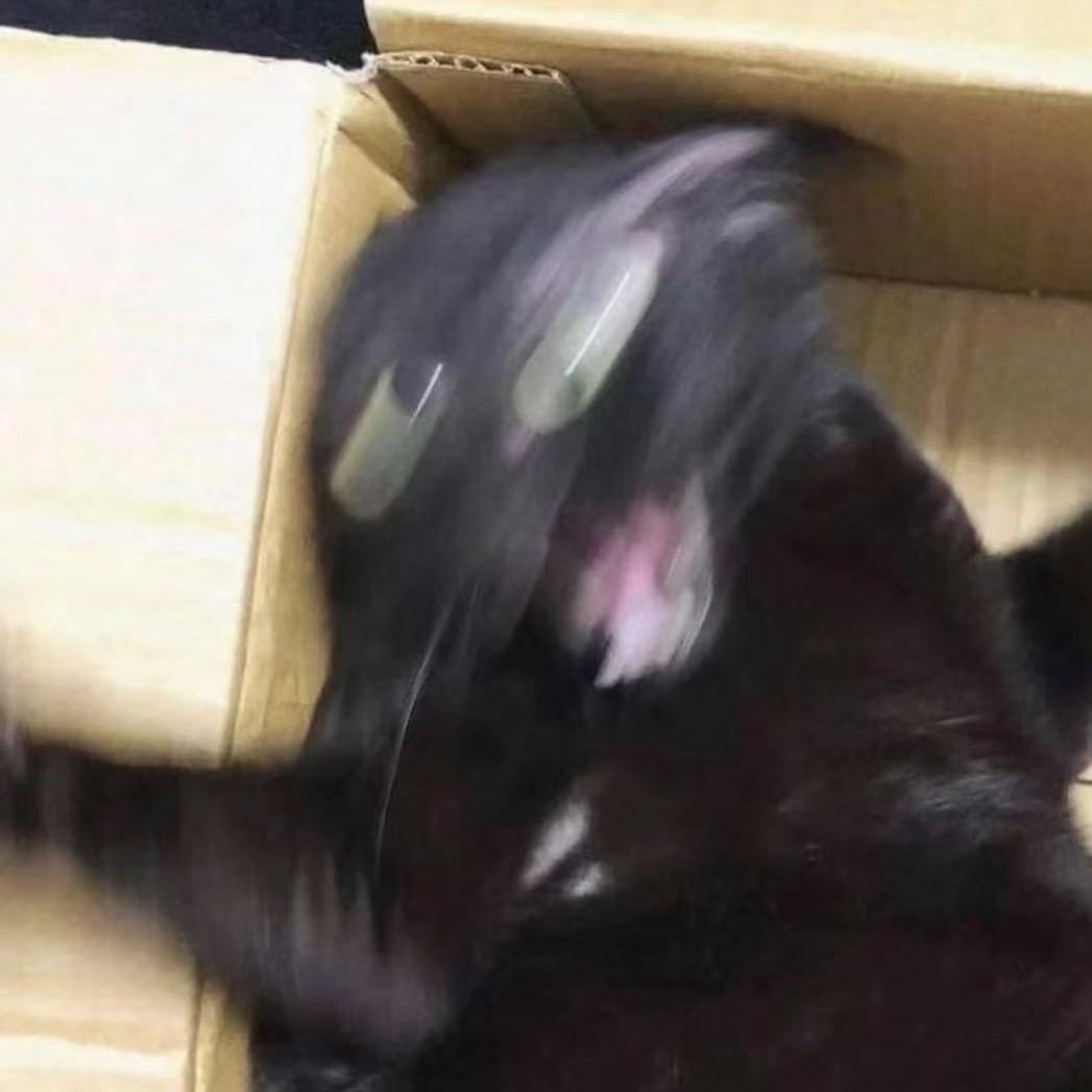 凤爪