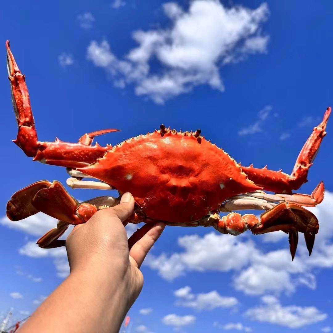 东营姗丫头海鲜 同城闪送