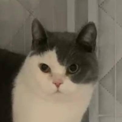 财运特别王女士