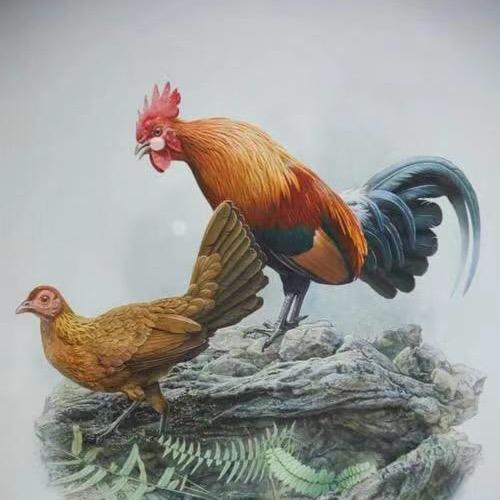 手工拦打（音卡）