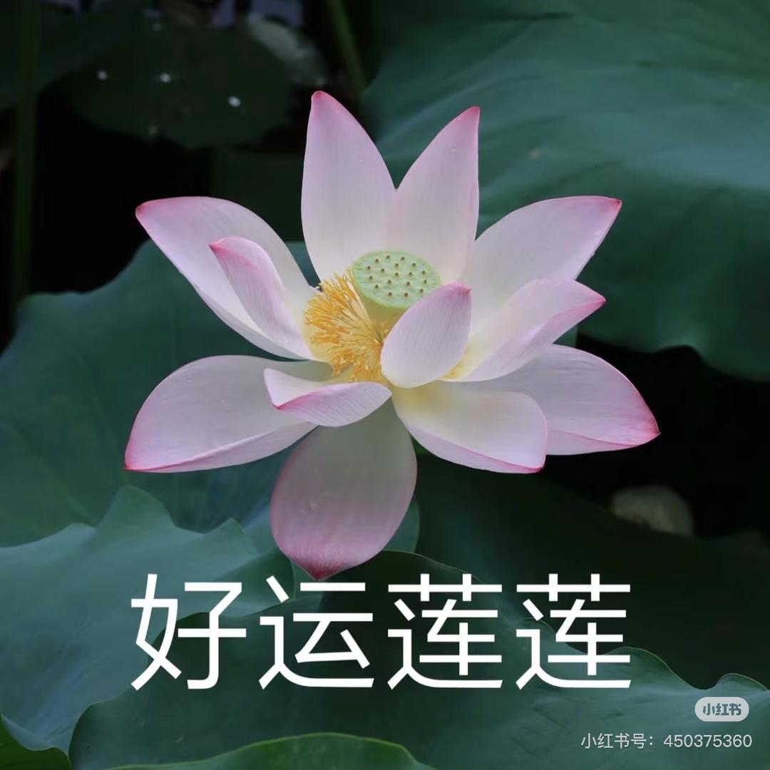 似水流年