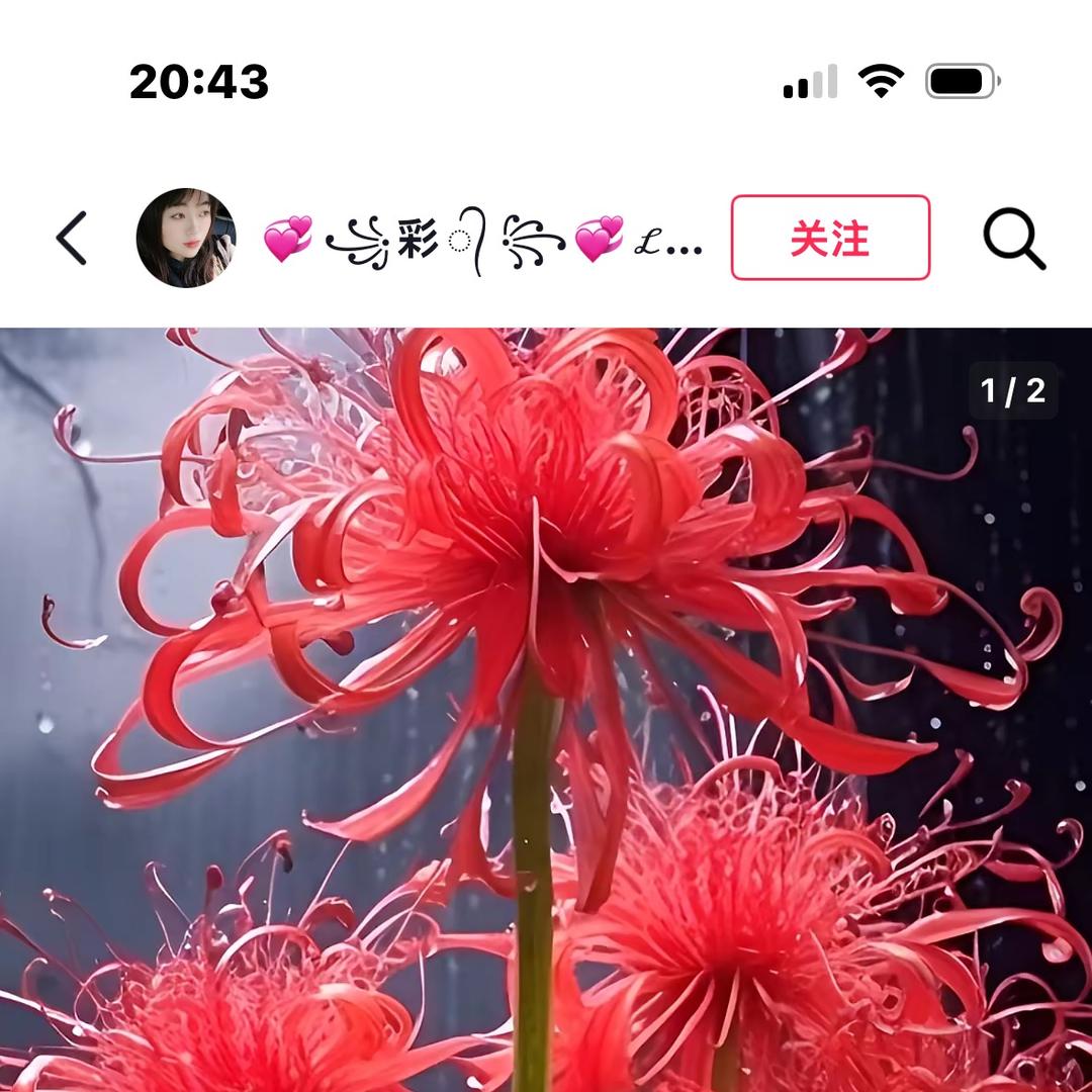 仁至义尽
