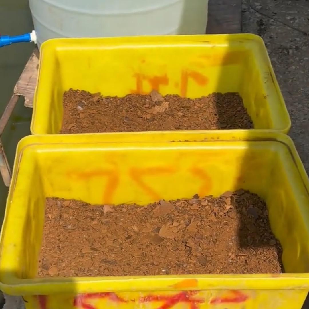 发酵饲料源头工厂